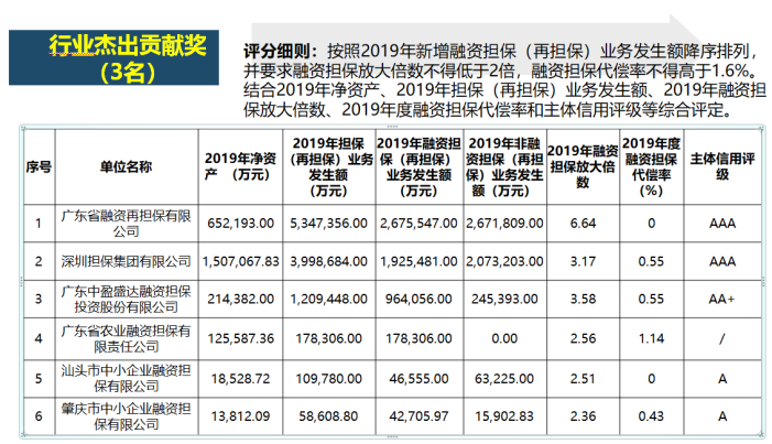 广东省融资担保业协会，引领行业发展的先锋力量