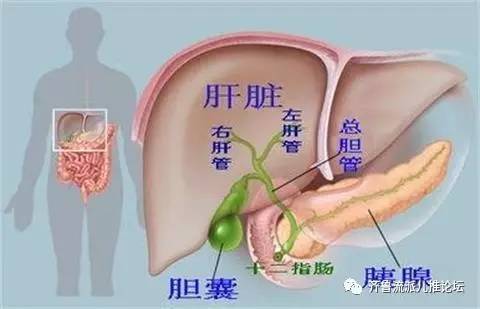 十个月宝宝大便出血，原因、诊断与处理方法